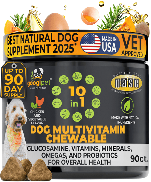 10 in 1 Multivitamin Chews for Dogs (Chicken Flavor) Dog Supplies - Lazy Paper Club