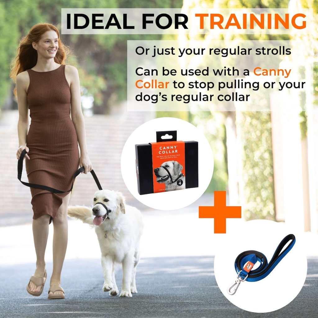 Canny Leash
