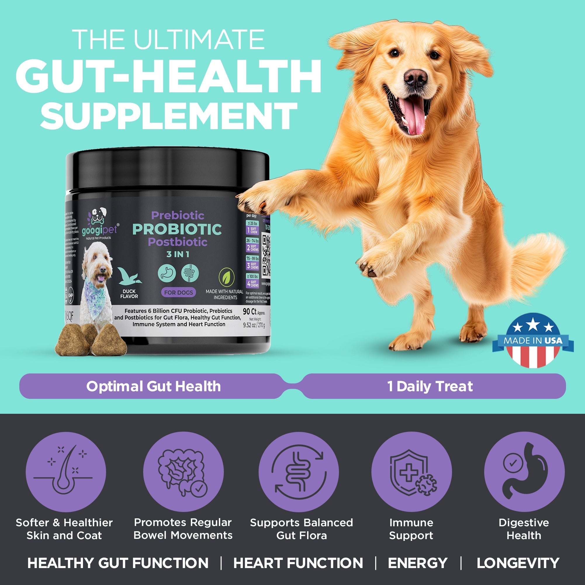 3 in 1 Probiotic Chews for Dogs Dog Supplies - Lazy Paper Club