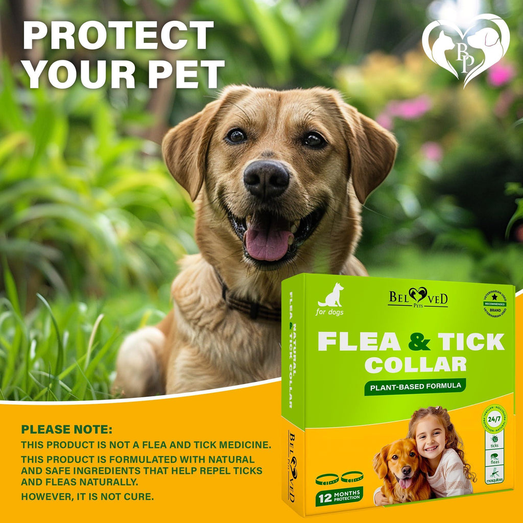 Natural Flea & Tick Collar for Dogs 6 Months Control of Best Prevention & Safe Treatment Anti Fleas and Ticks Essential Oil Repellent (1 Pack 2 Count)