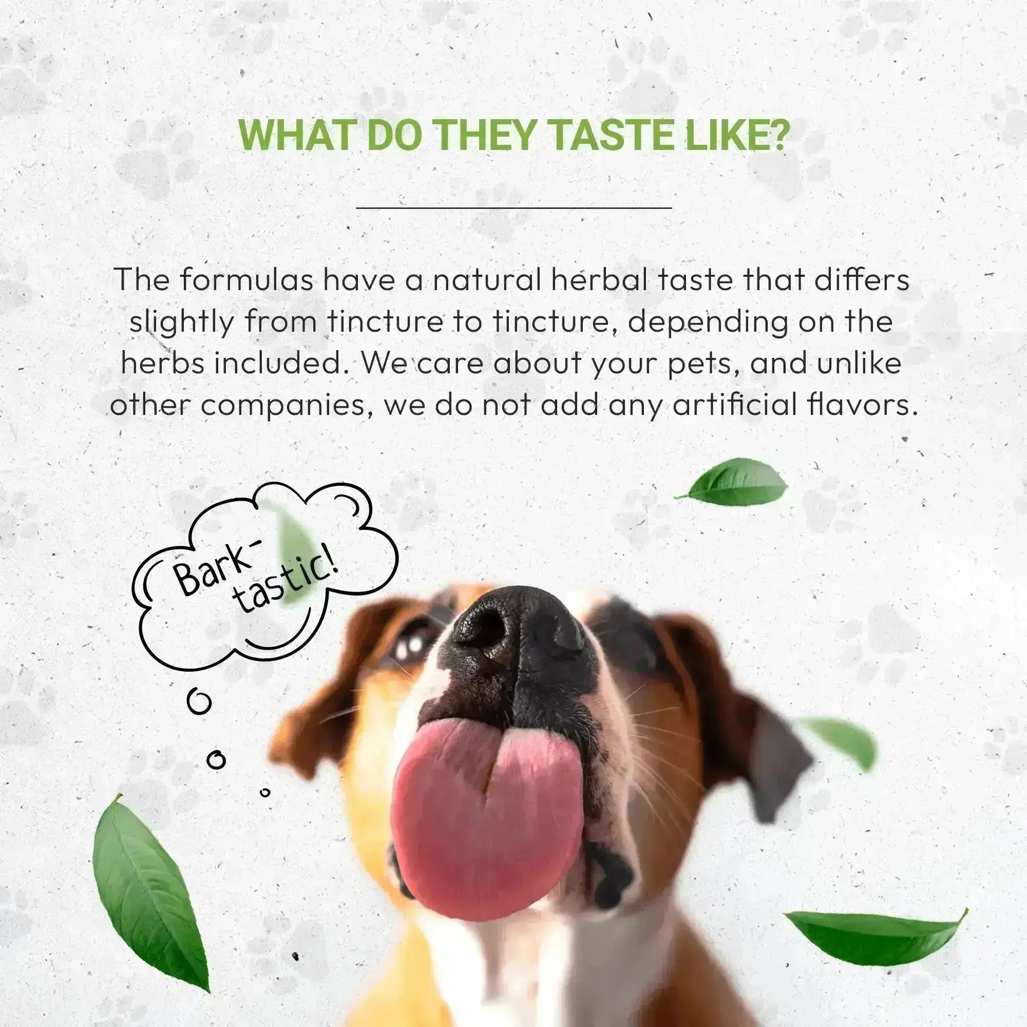 Wolf's Joints - Healthy Joint Support in Dogs