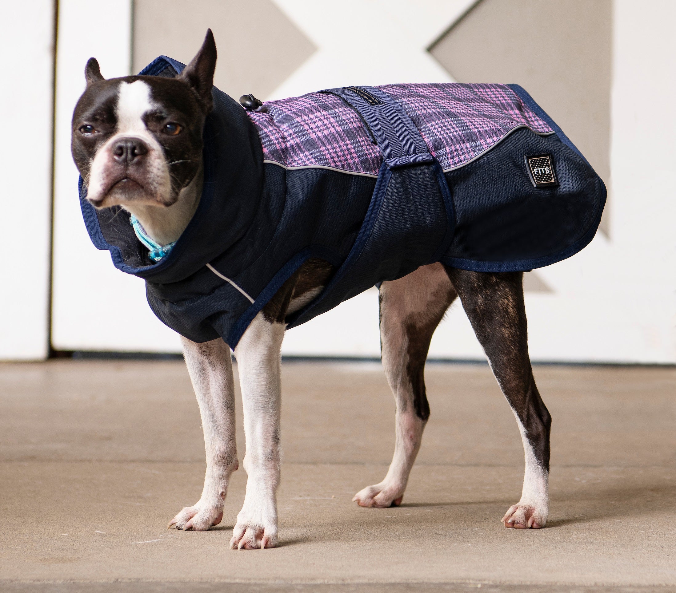 All Weather Dog Coat Accessories - Lazy Paper Club