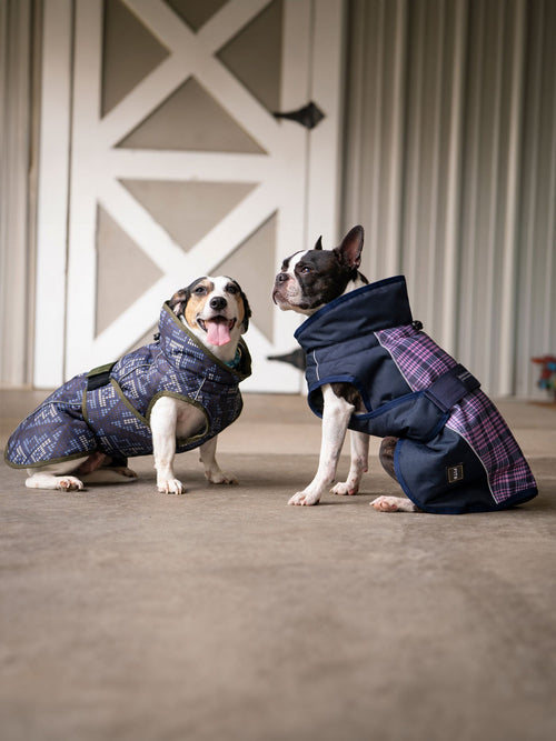 All Weather Dog Coat Accessories - Lazy Paper Club