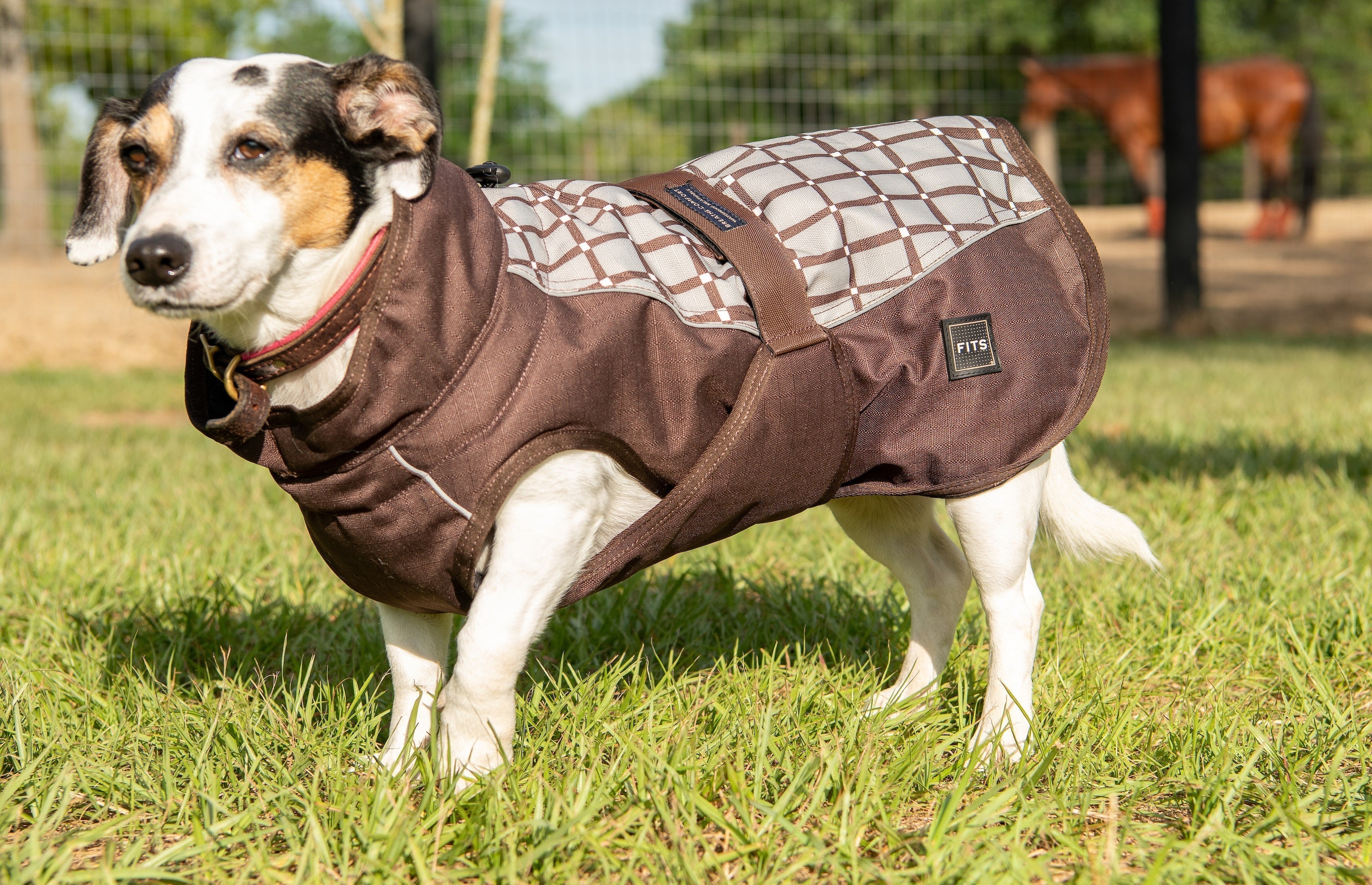 All Weather Dog Coat Accessories - Lazy Paper Club