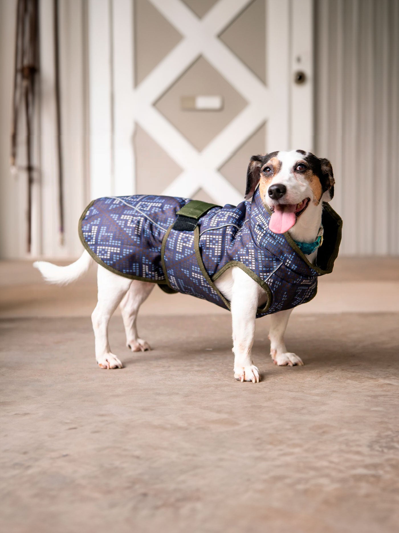 All Weather Dog Coat Accessories - Lazy Paper Club
