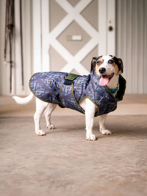 All Weather Dog Coat Accessories - Lazy Paper Club
