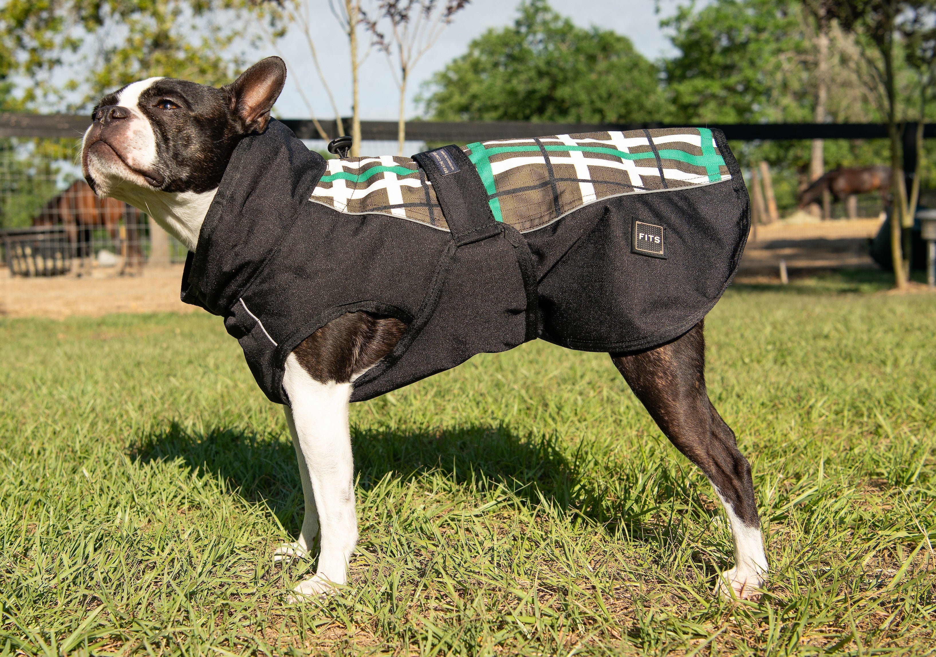 All Weather Dog Coat Accessories - Lazy Paper Club