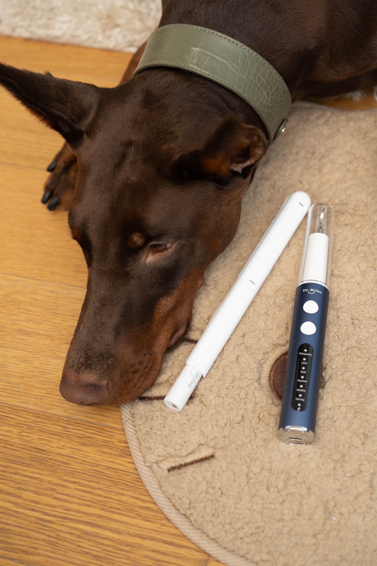 Anesthesia-Free Pet Dental Cleaning Kit: Professional Ultrasonic Tartar Remover & Electric Toothbrush for Dogs & Cats by Dr. Milou® Pets - Lazy Paper Club