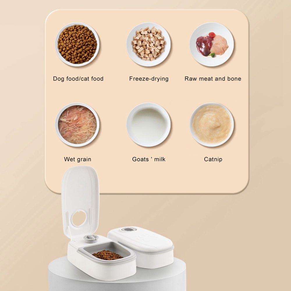 Automatic Pet Feeder Smart Food Dispenser For Cats Dogs Timer Stainless Steel Bowl Auto Dog Cat Pet Feeding Pets Supplies 0 - Lazy Paper Club