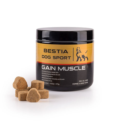 BDS Gain Muscle Dog Food Supplement Supplements - Lazy Paper Club