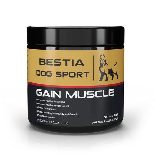 BDS Gain Muscle Dog Food Supplement Supplements - Lazy Paper Club
