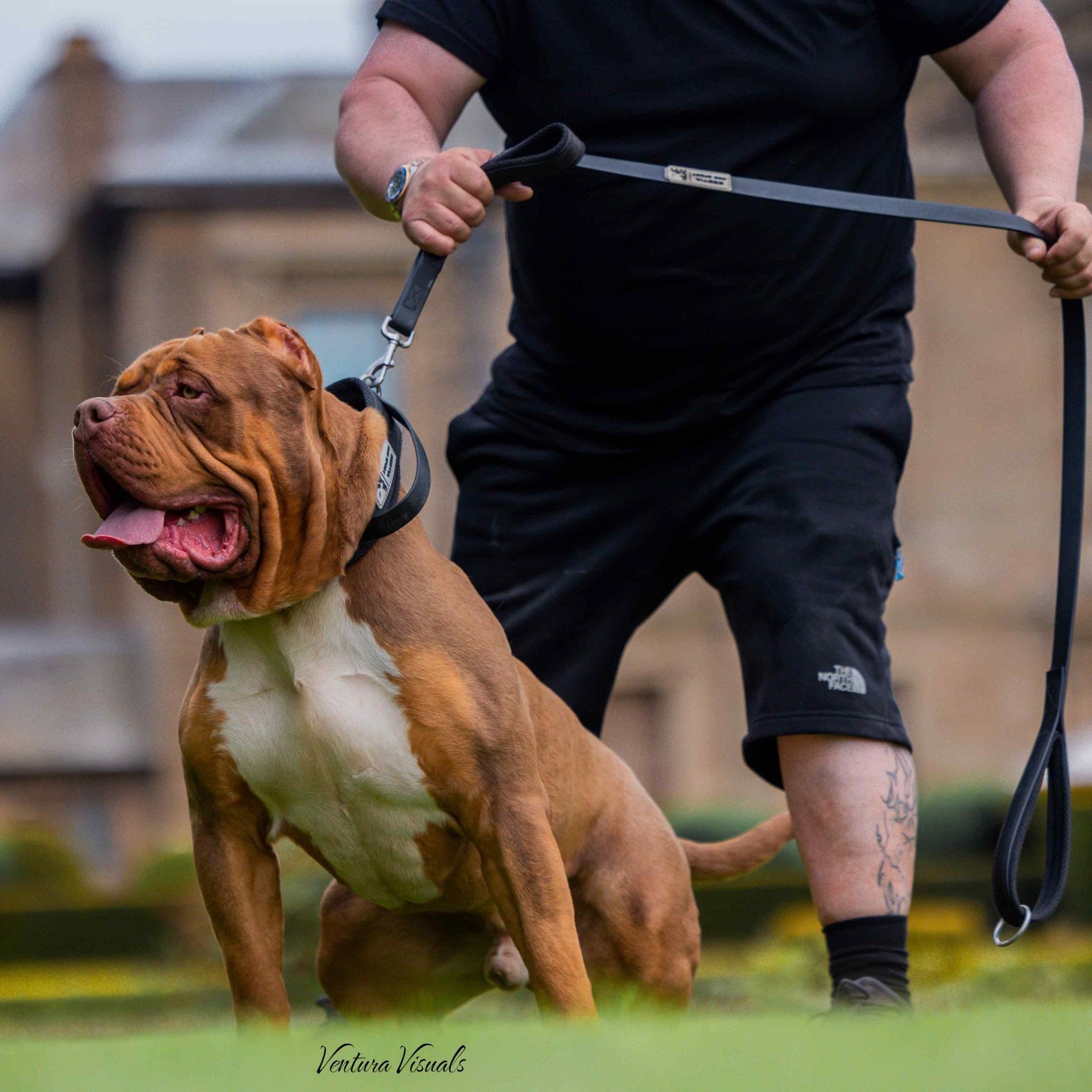 BESTIA DOG SPORT dual handle leash Training gear - Lazy Paper Club