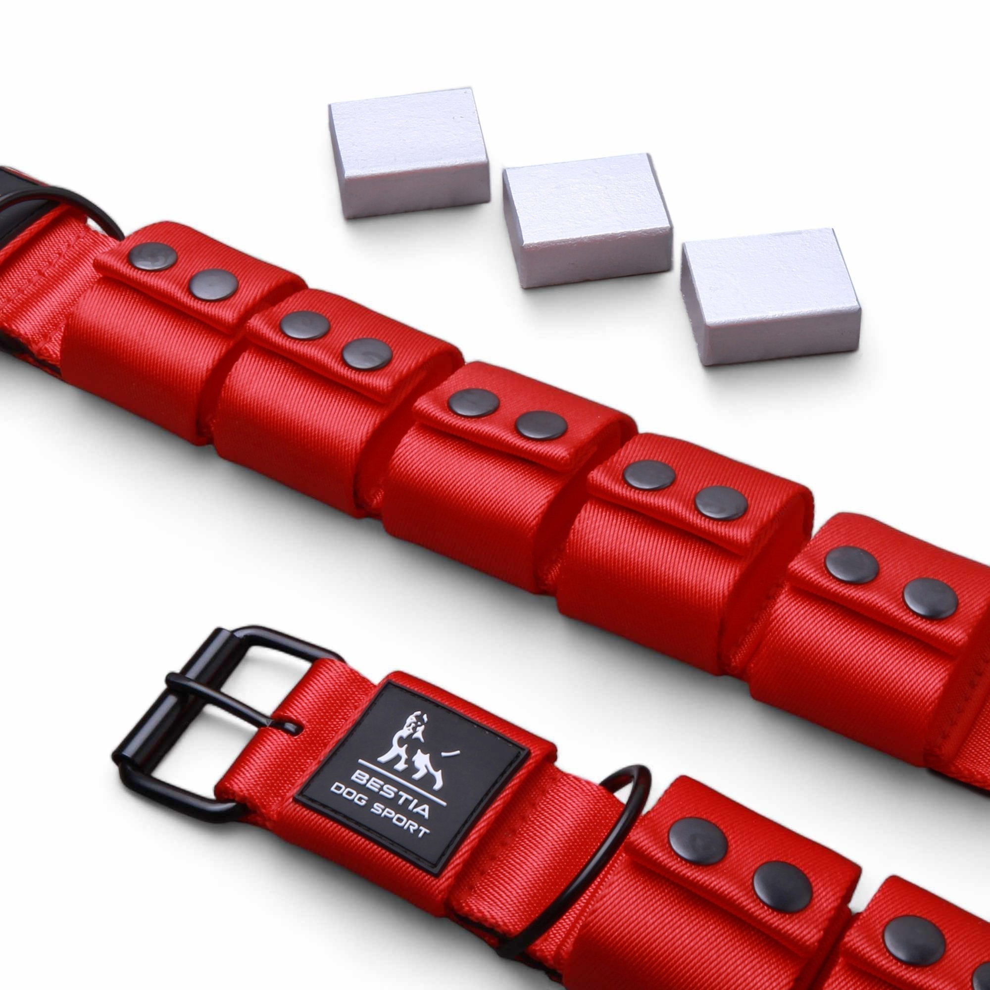 BESTIA DOG SPORT Weighted Dog Training Collar Collars - Lazy Paper Club
