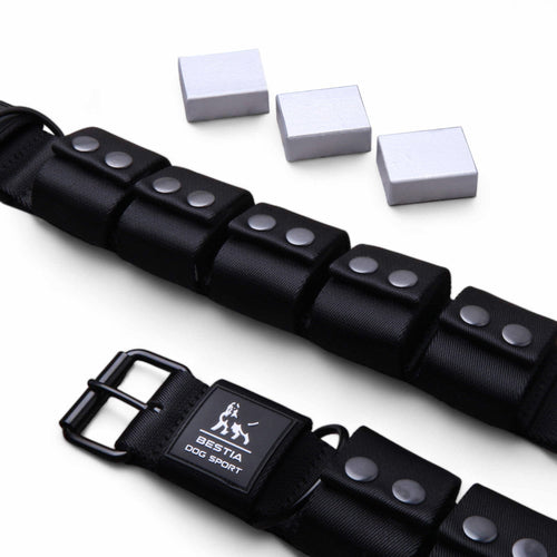 BESTIA DOG SPORT Weighted Dog Training Collar Collars - Lazy Paper Club