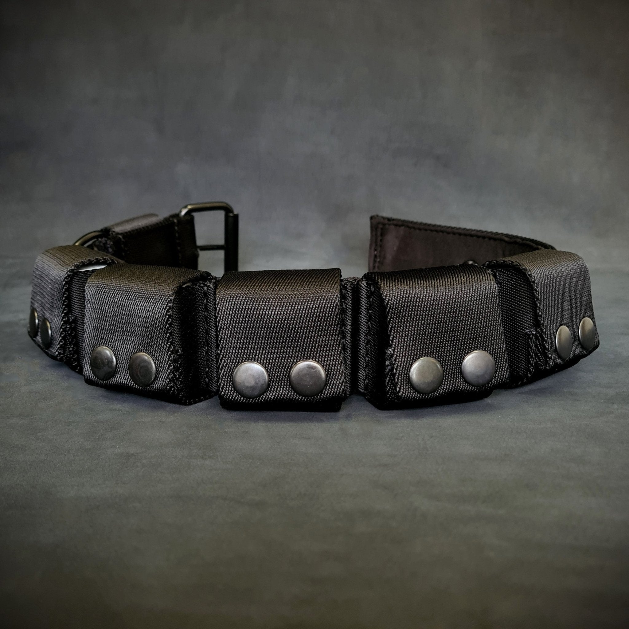 BESTIA DOG SPORT Weighted Dog Training Collar Collars - Lazy Paper Club