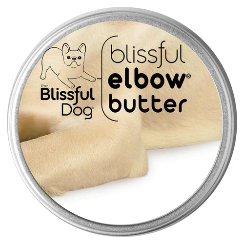 Blissful Elbow® Butter Conditions Your Dog's Elbow Calluses ELBOW BUTTER - Lazy Paper Club