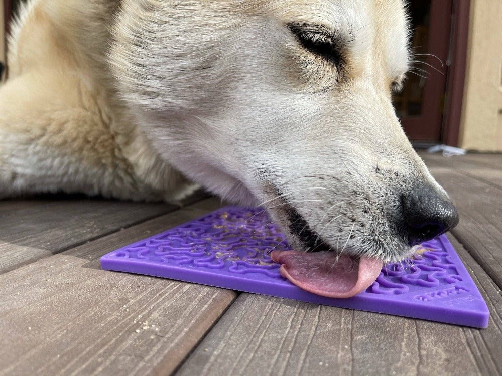 Bones eMat - Enrichment Lick Mat for Dogs and Cats | eMat Enrichment Toy for Anxiety Relief | SodaPup EMAT - Lazy Paper Club