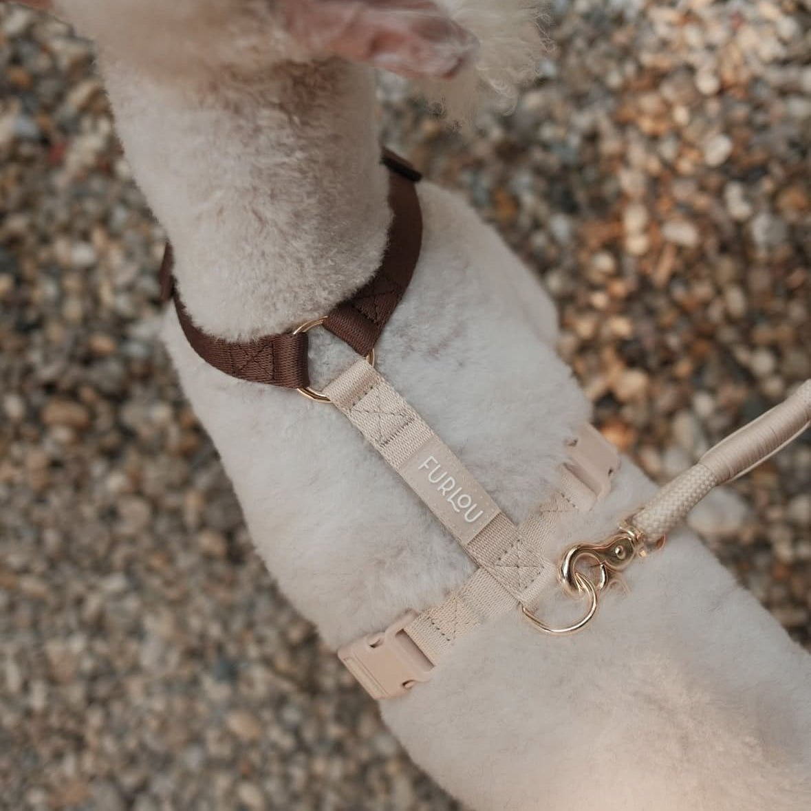 Brown and Tan - Dog Harness Strap Harness - Lazy Paper Club
