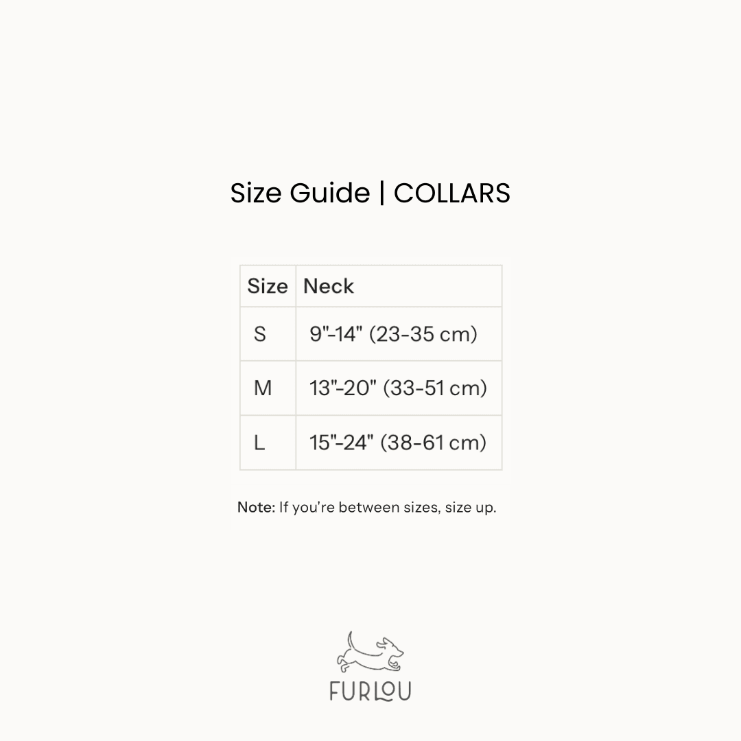 'Brown' - Canvas Dog Collar Canvas Collar - Lazy Paper Club