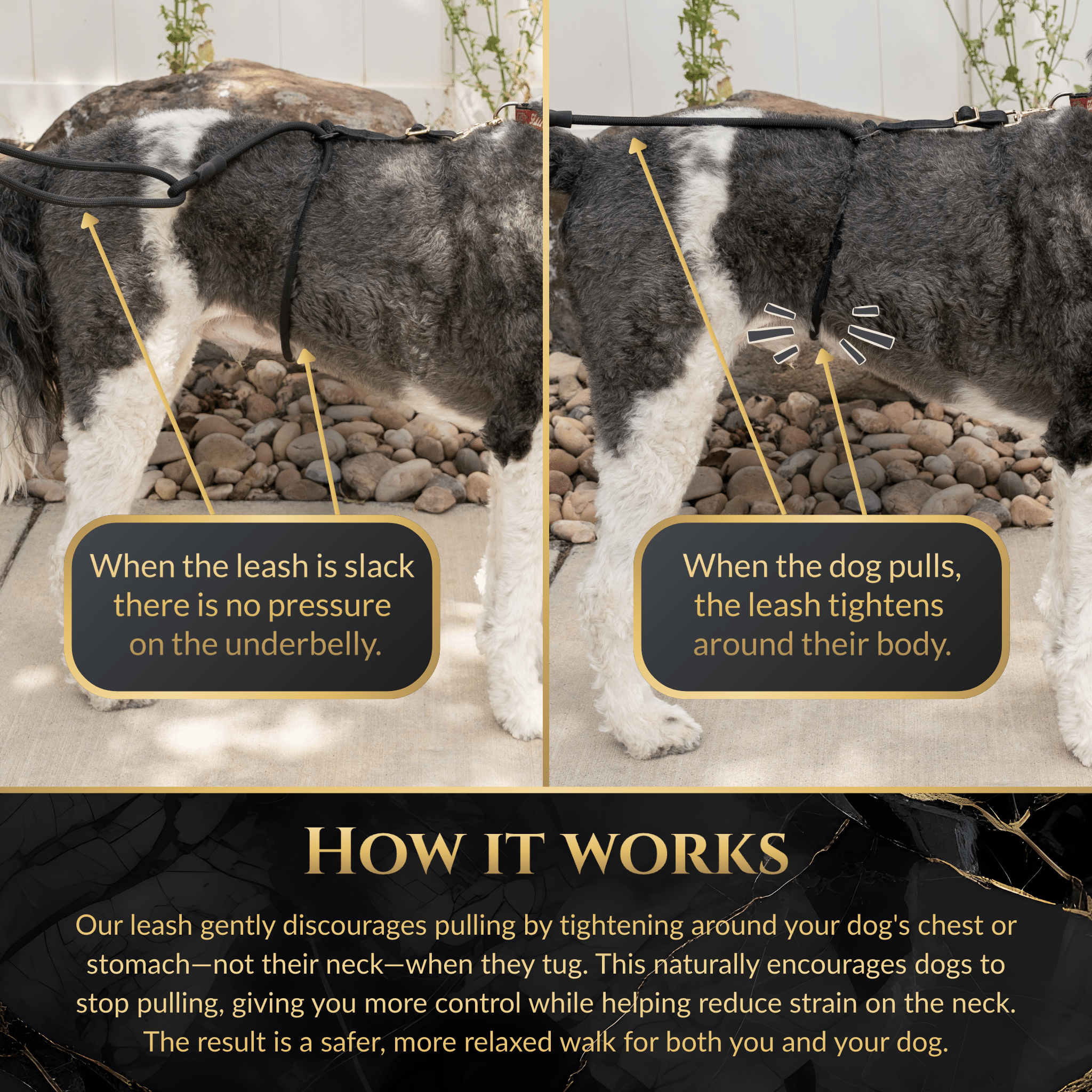 Calm Command © Hands Free, No-Pull Leash Dog Leash - Lazy Paper Club