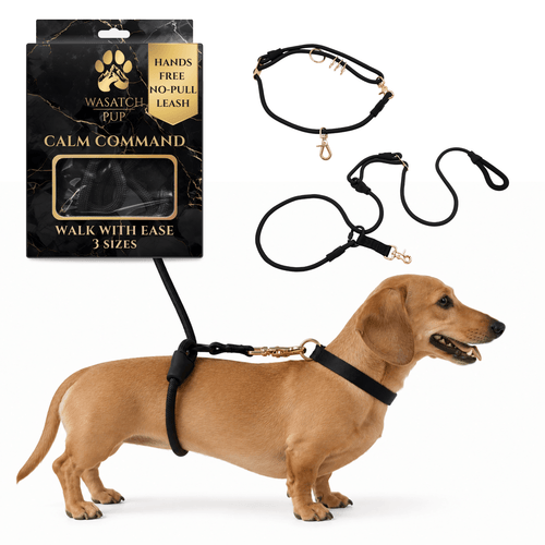 Calm Command © Hands Free, No-Pull Leash Dog Leash - Lazy Paper Club