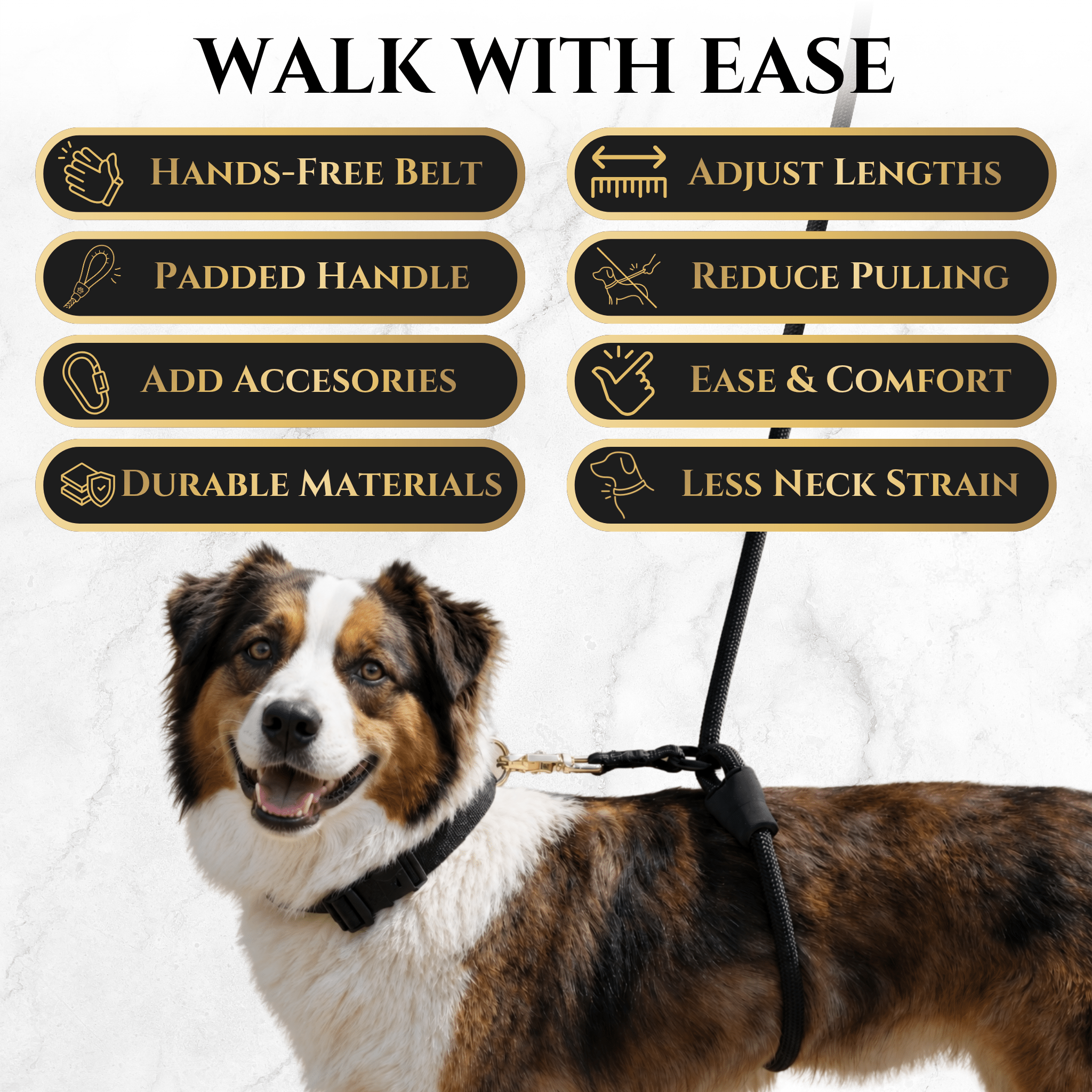 Calm Command © Hands Free, No-Pull Leash Dog Leash - Lazy Paper Club