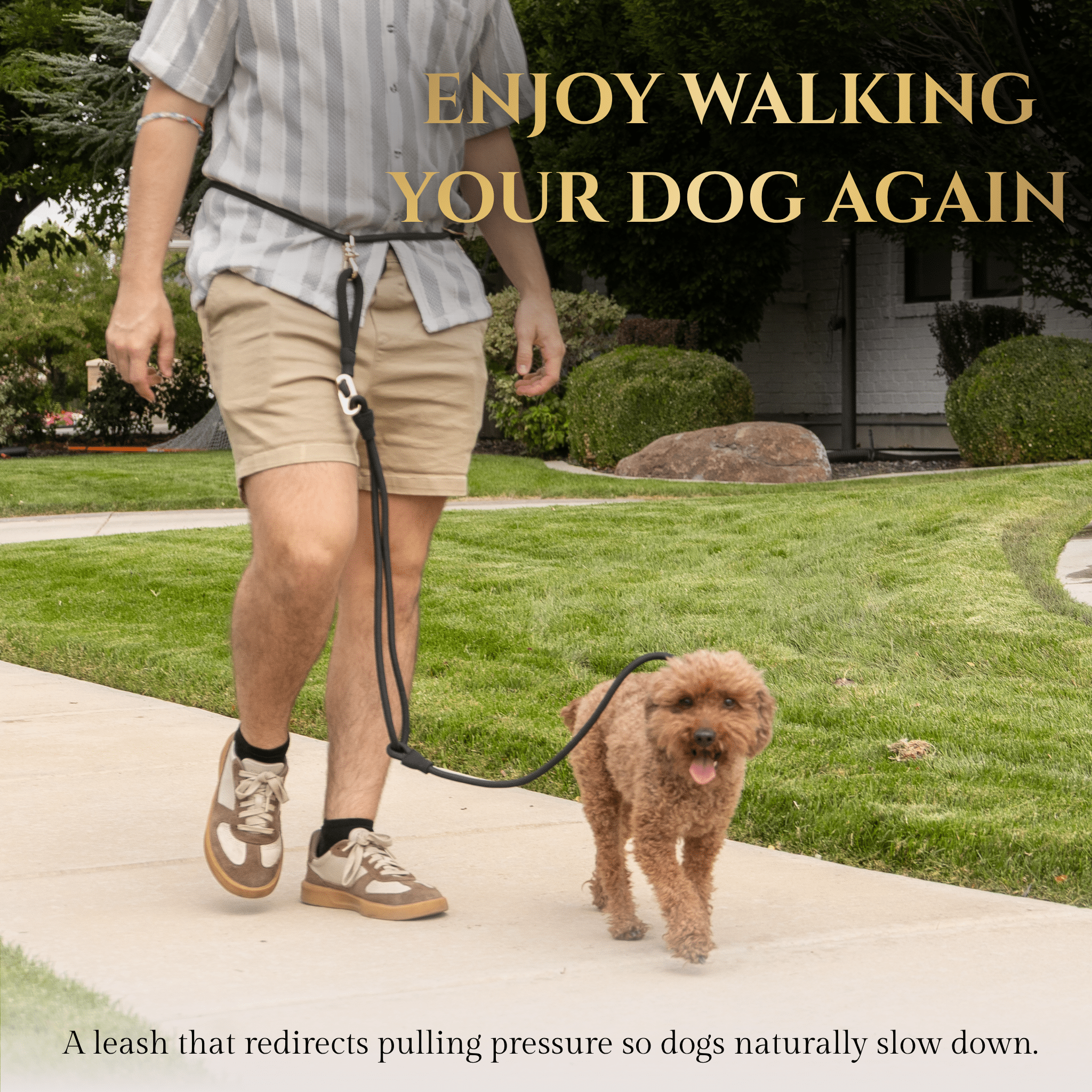 Calm Command © Hands Free, No-Pull Leash Dog Leash - Lazy Paper Club