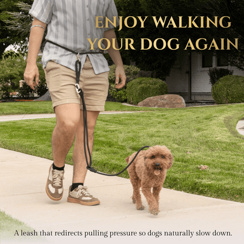 Calm Command © Hands Free, No-Pull Leash Dog Leash - Lazy Paper Club