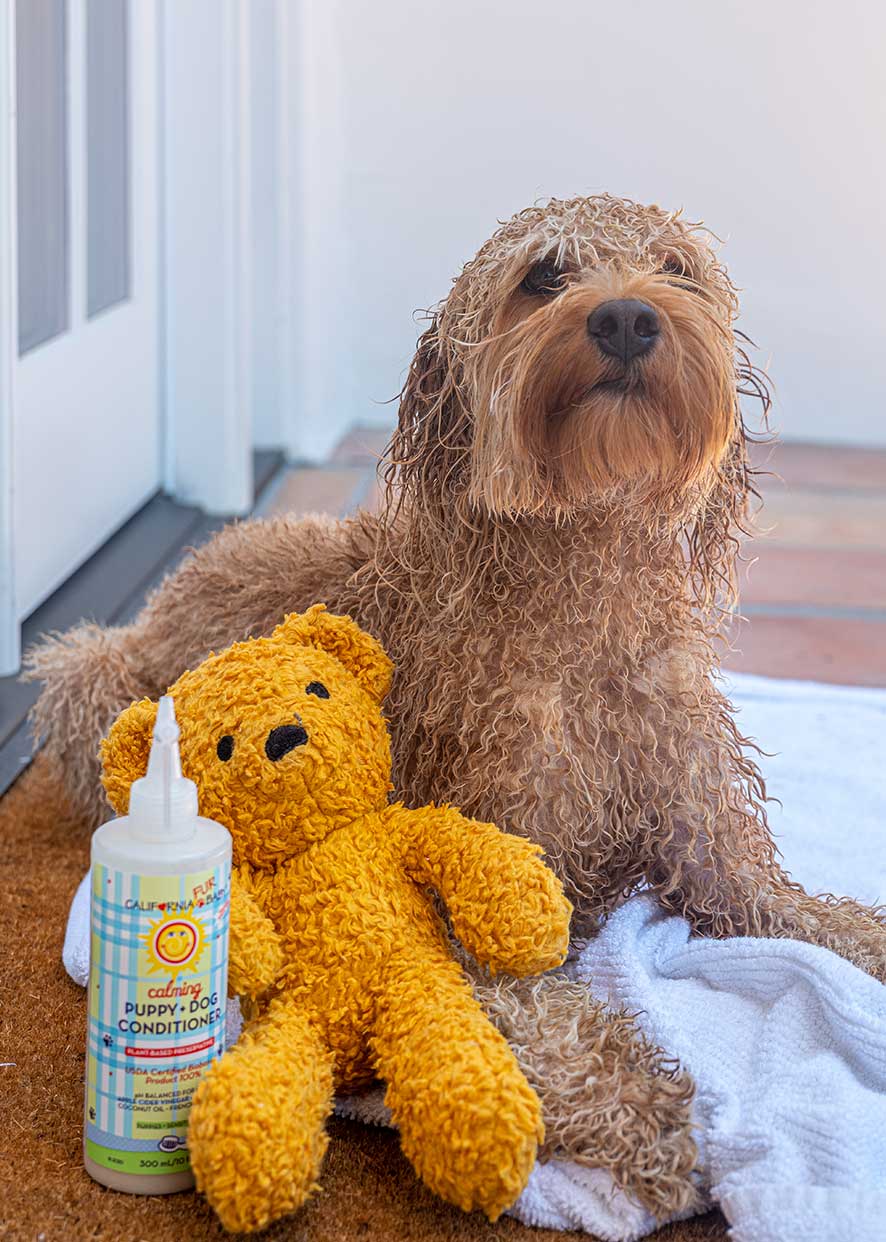 Calming™ Puppy + Dog Conditioner Fur Baby - Lazy Paper Club