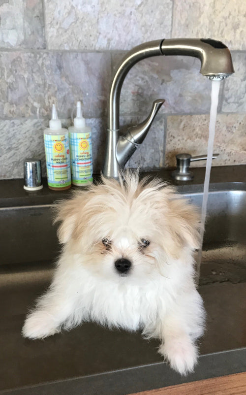 Calming™ Puppy + Dog Wash & Conditioner Set Fur Baby - Lazy Paper Club