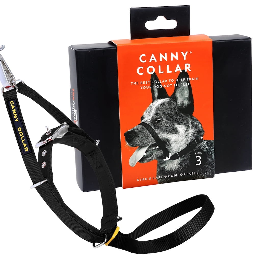Canny Collar Pet Collars & Harnesses - Lazy Paper Club