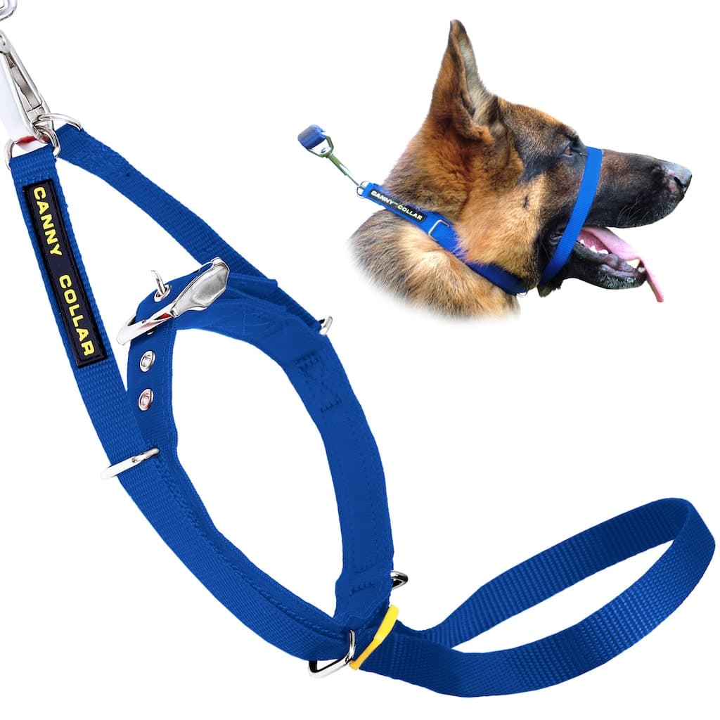 Canny Collar Pet Collars & Harnesses - Lazy Paper Club