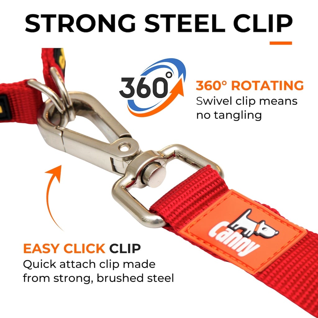 Canny Leash Pet Leashes - Lazy Paper Club