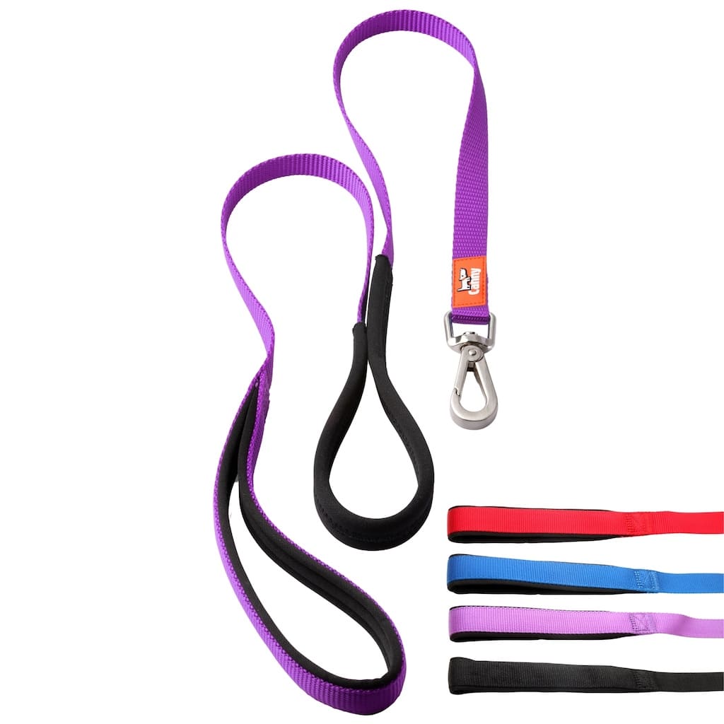 Canny Leash Pet Leashes - Lazy Paper Club