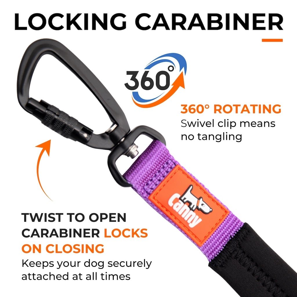 Canny Leash Pet Leashes - Lazy Paper Club