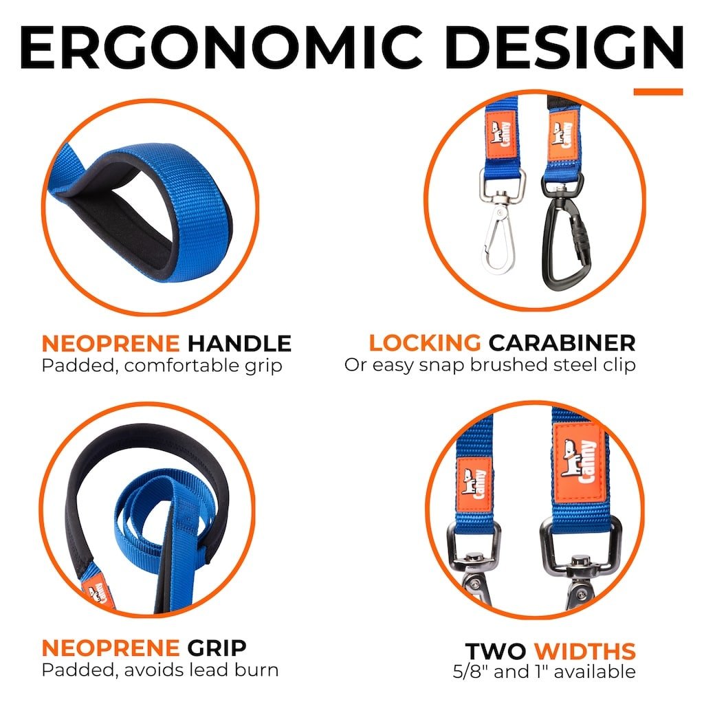 Canny Leash Pet Leashes - Lazy Paper Club