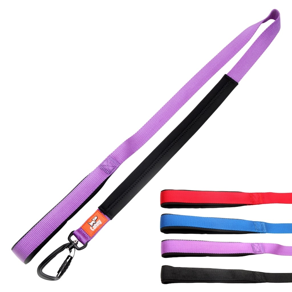 Canny Leash Pet Leashes - Lazy Paper Club
