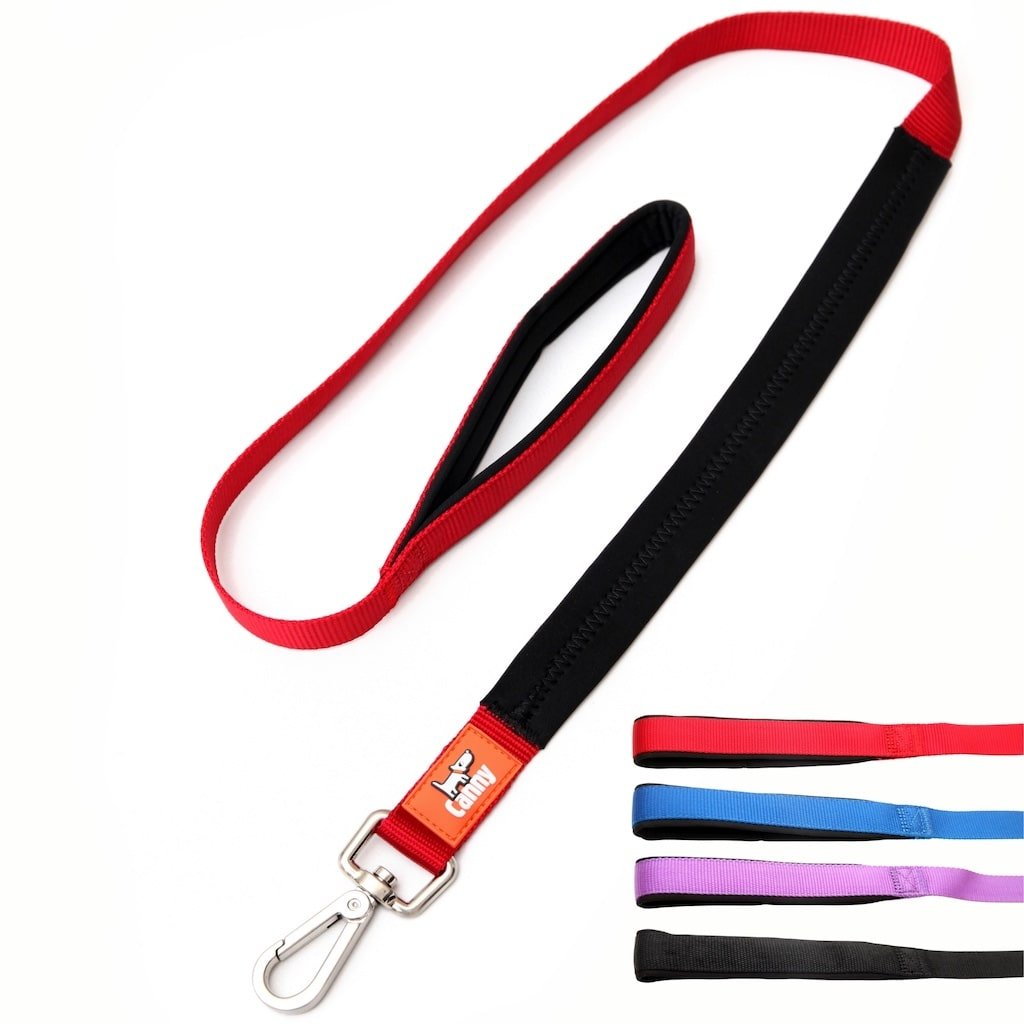 Canny Leash Pet Leashes - Lazy Paper Club