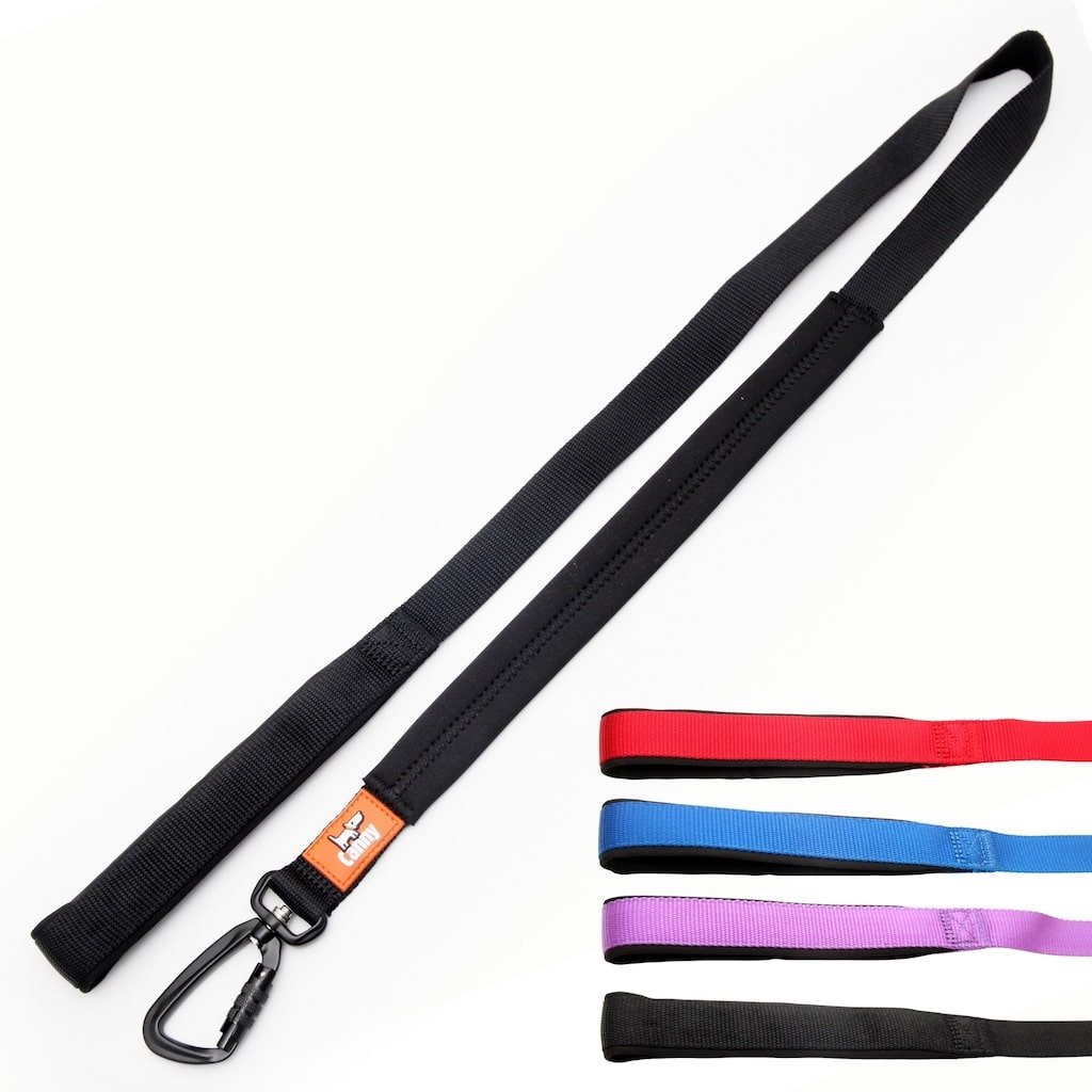 Canny Leash Pet Leashes - Lazy Paper Club
