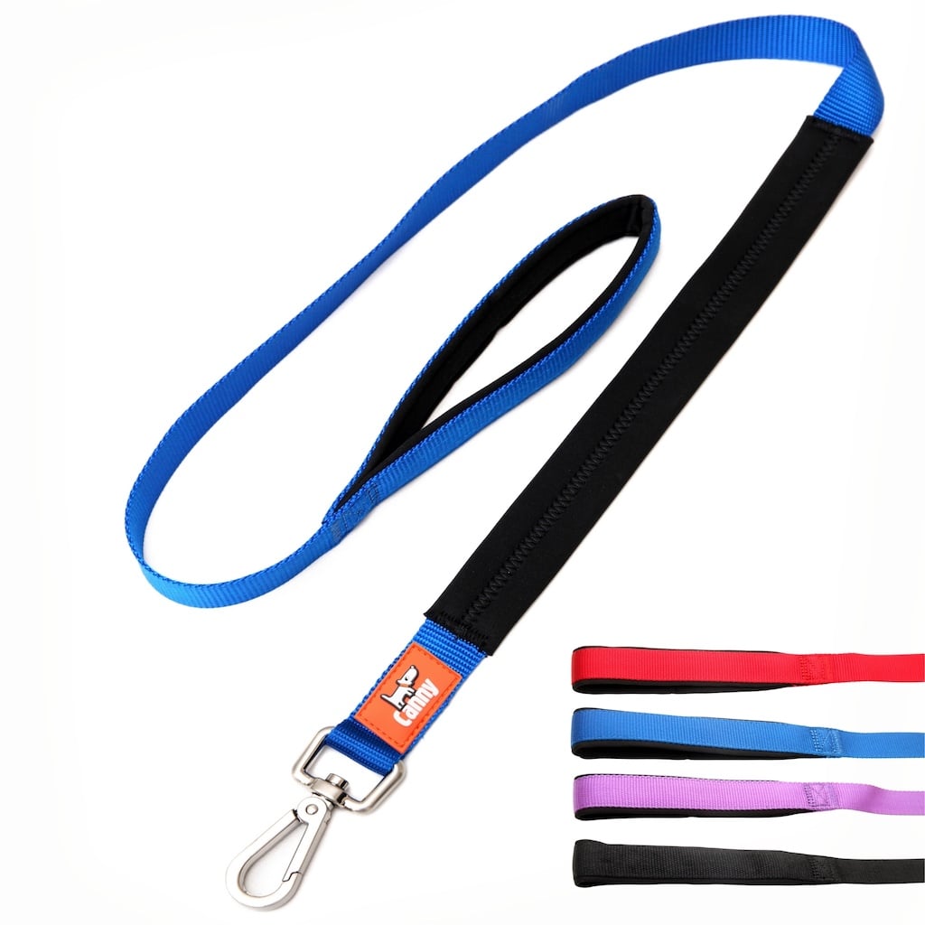 Canny Leash Pet Leashes - Lazy Paper Club