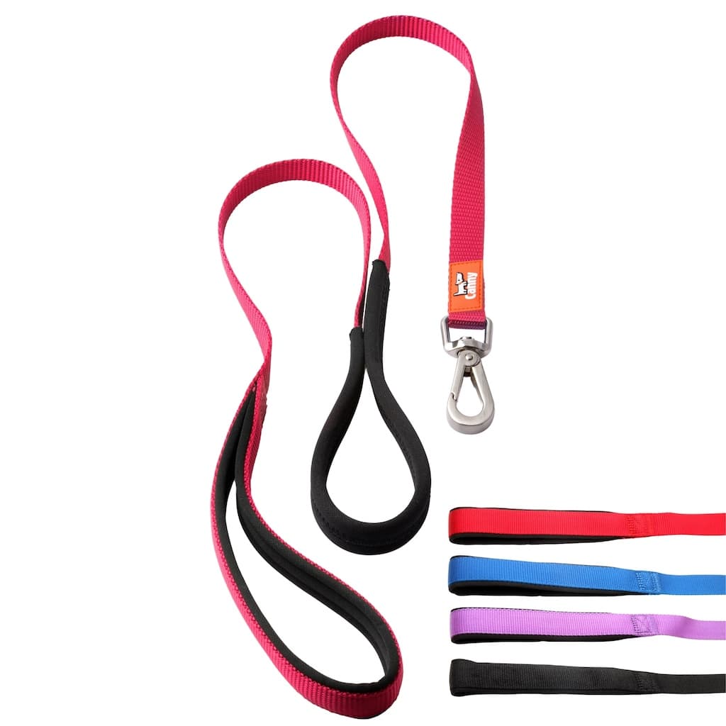 Canny Leash Pet Leashes - Lazy Paper Club