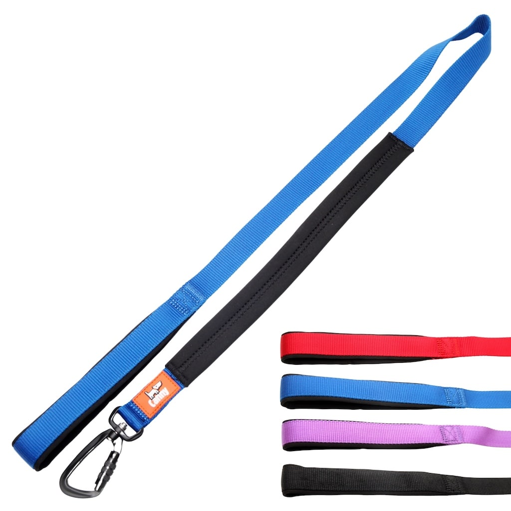 Canny Leash Pet Leashes - Lazy Paper Club