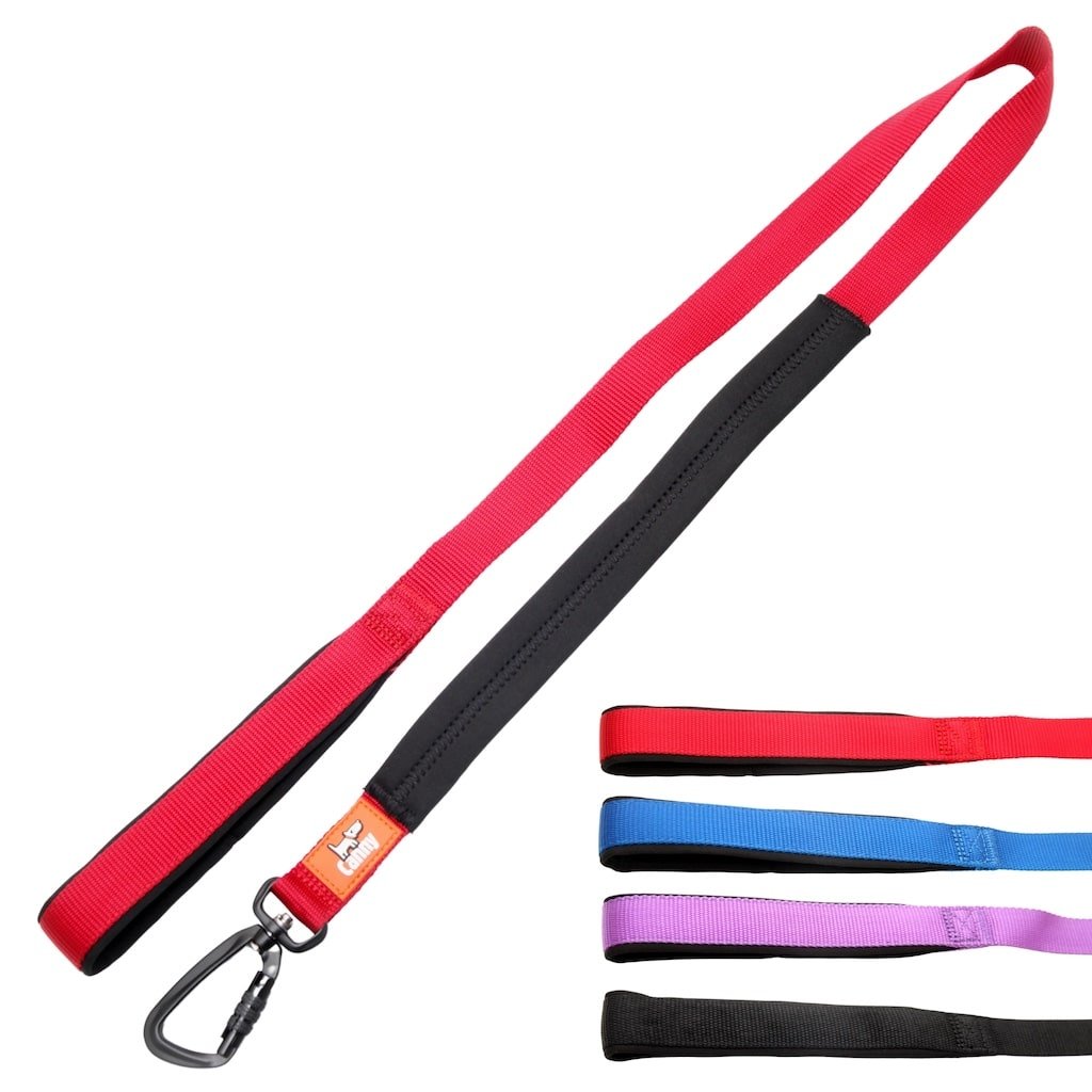 Canny Leash Pet Leashes - Lazy Paper Club