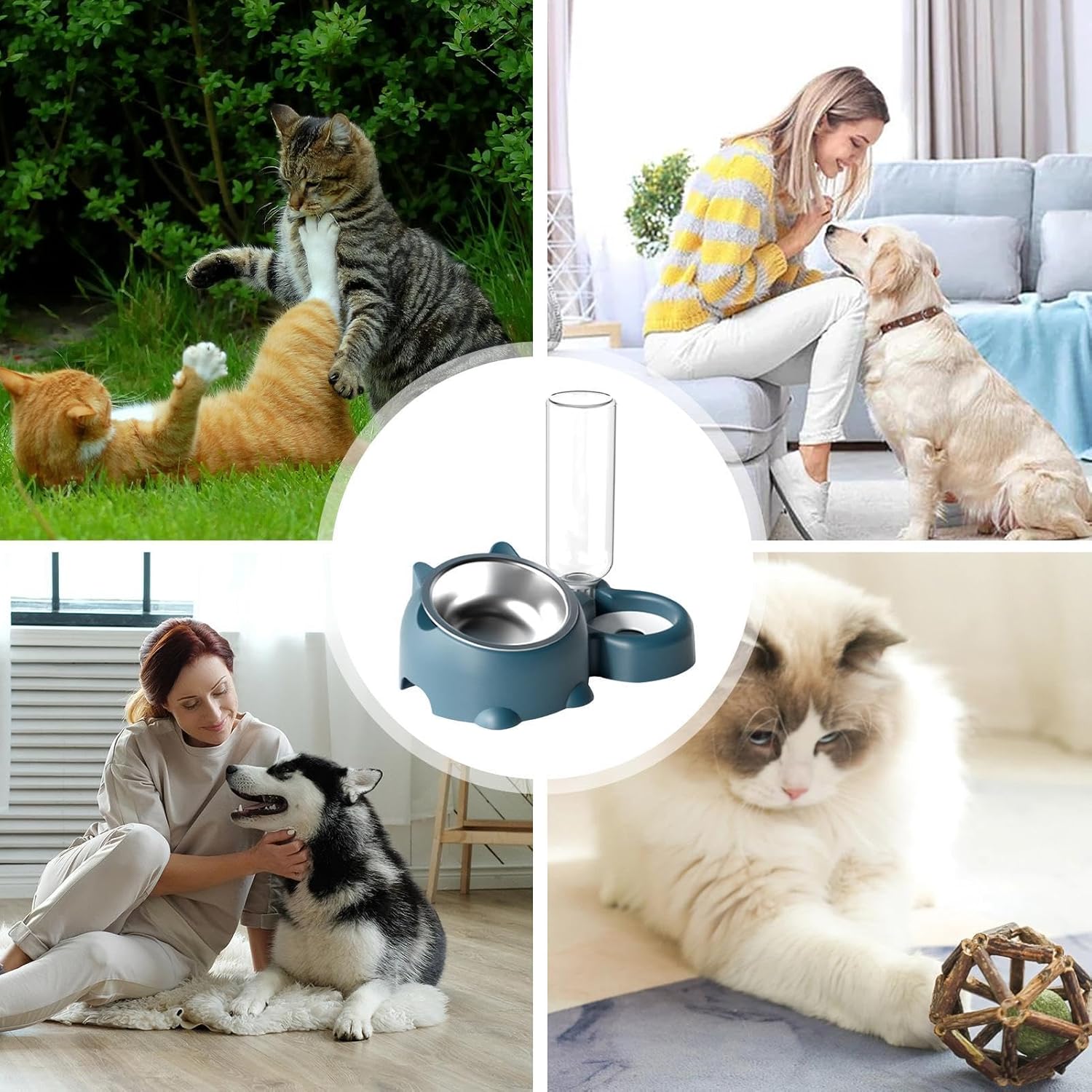 Cat Food And Water Bowl Set - 16 Degree Tilted Dog Dish With Water Dispenser Removable Pet Feeder Bowl Dog Drinking And Eating Bowl Detachable Pet Feeder Bowl For Cats And Dogs 4 - Lazy Paper Club