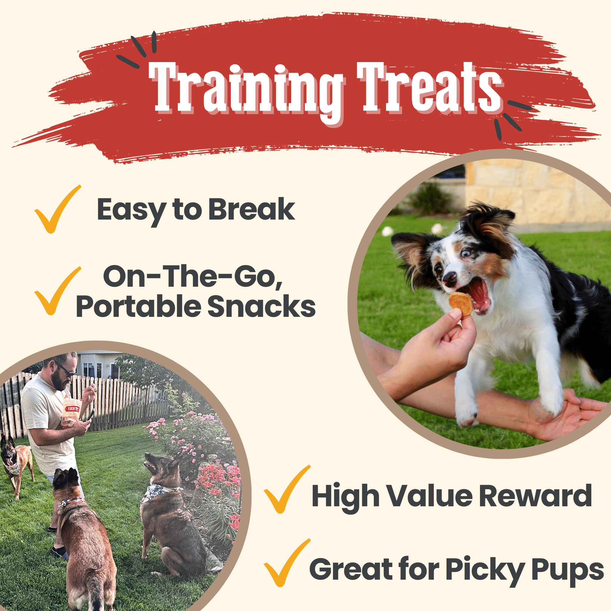 Chicken Chips for Dogs | All-Natural Single-Ingredient Dog Treats Chip - Lazy Paper Club