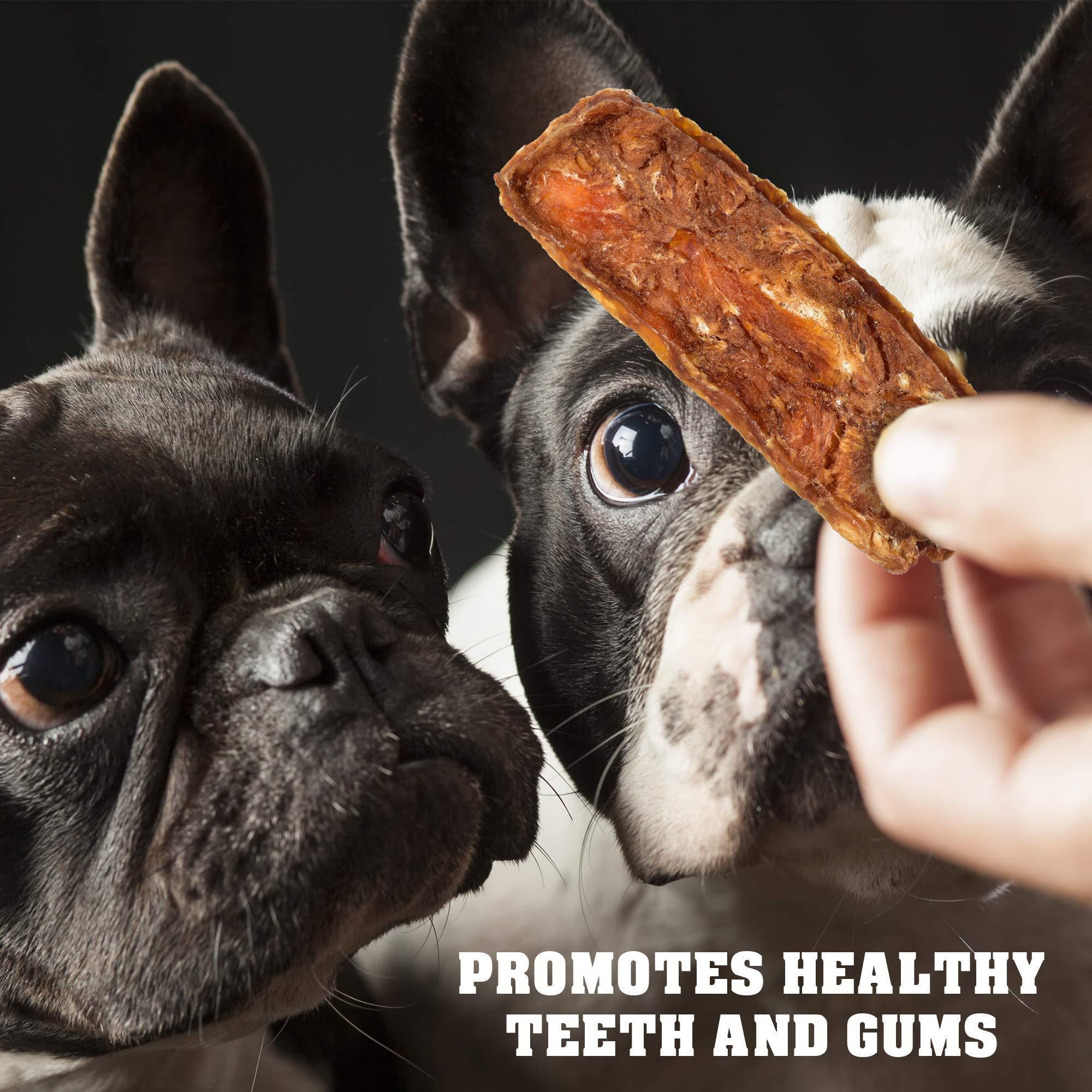 Chicken Jerky Dog Treats 1.5 lb Human-Grade Grain-Free Dried Strips Dog Chews & Treats - #Lazy Paper Club#