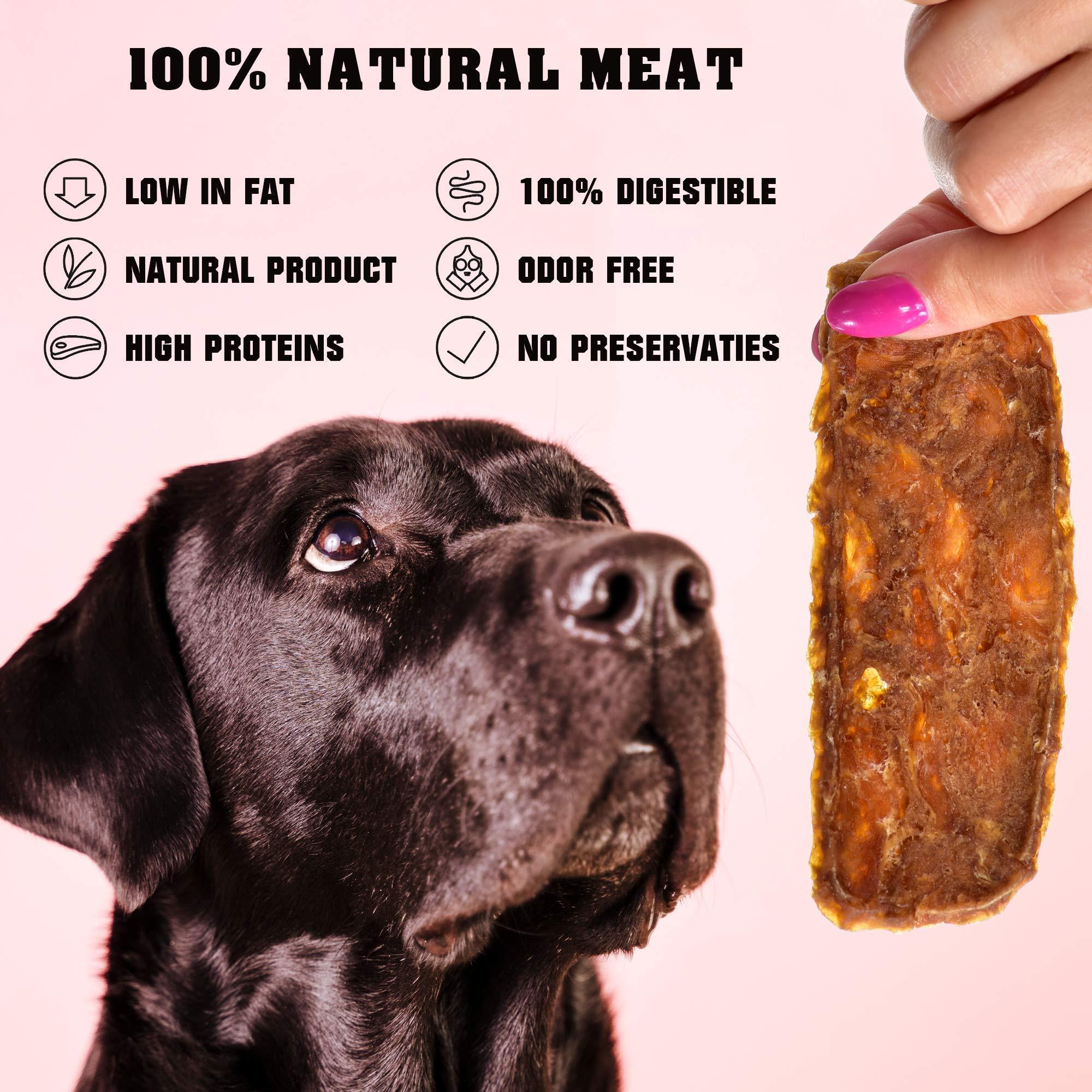 Chicken Jerky Dog Treats 1.5 lb Human-Grade Grain-Free Dried Strips Dog Chews & Treats - #Lazy Paper Club#