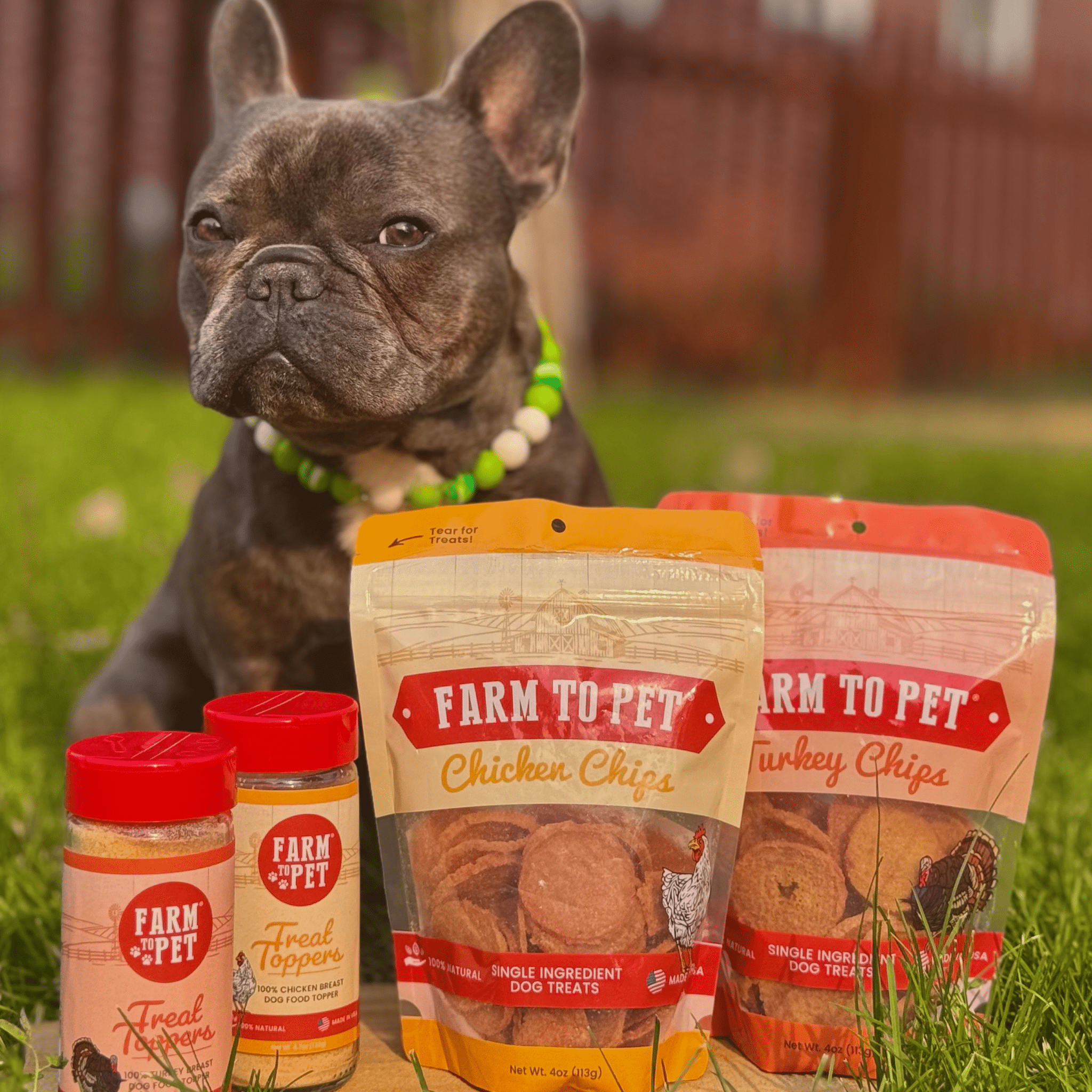 Chicken & Turkey Dog Food Topper Bundle Bundle - Lazy Paper Club
