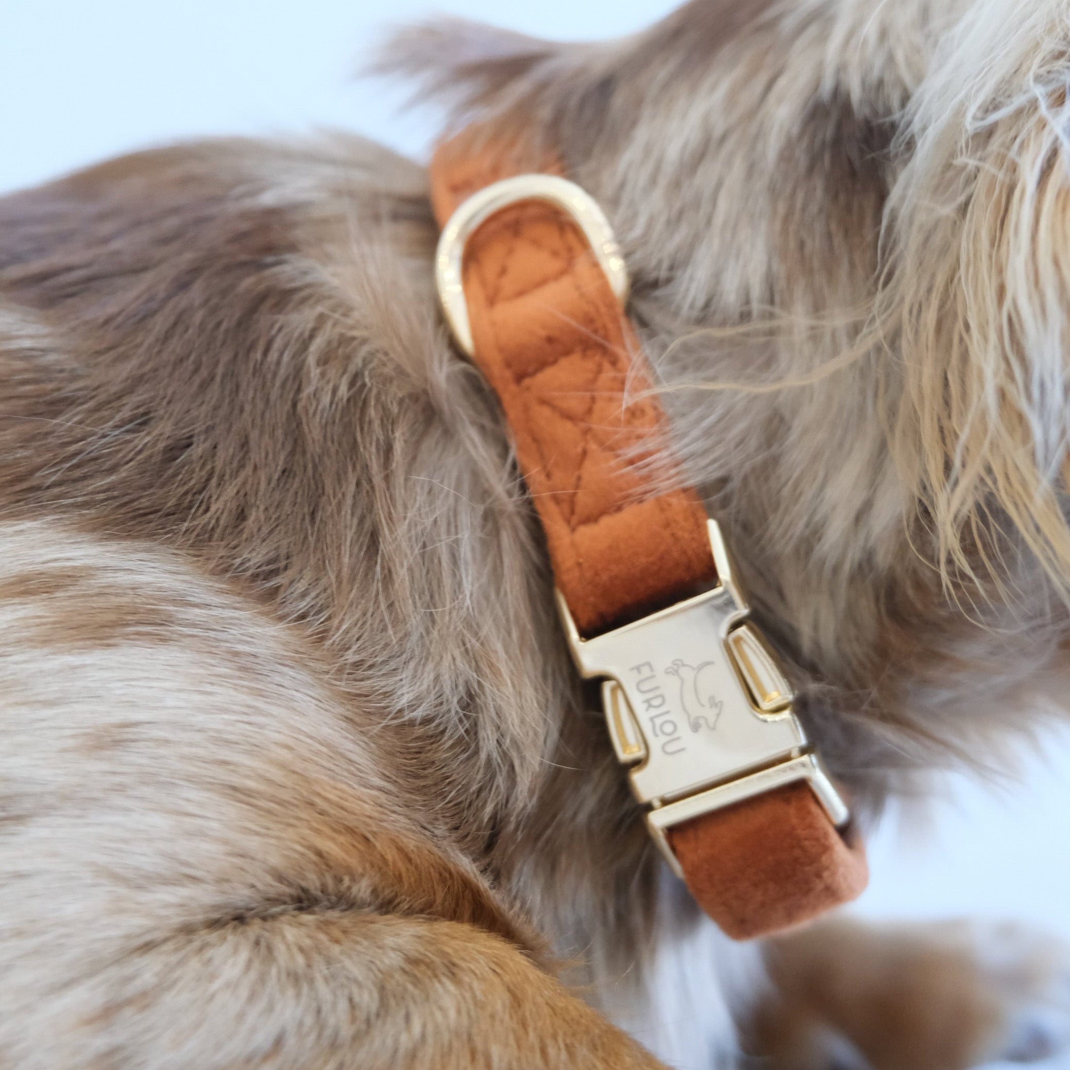 'Clay' - Velvet Dog Collar Velvet Collar - Lazy Paper Club