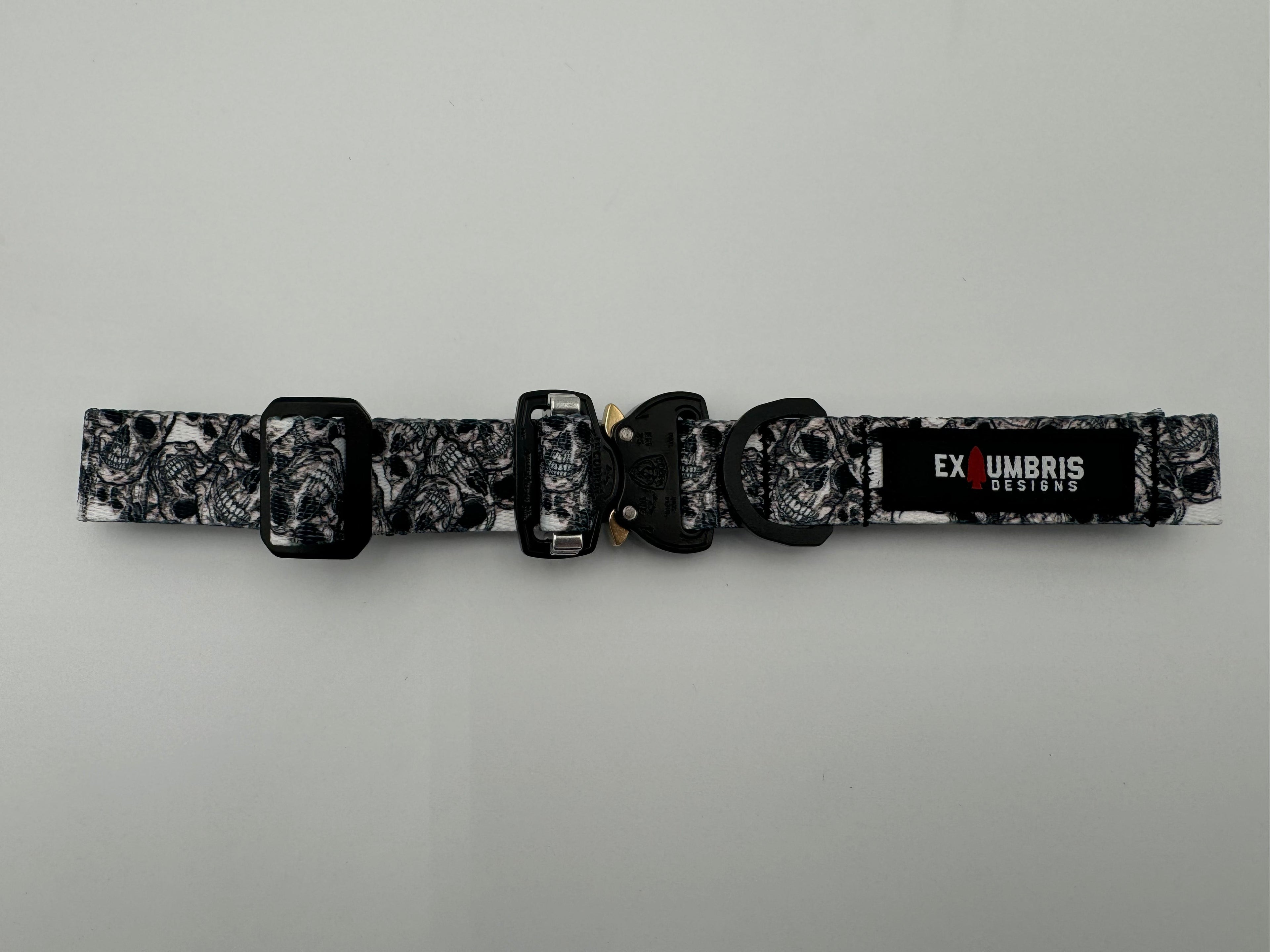 Cobra Buckle Dog Collar - Lazy Paper Club